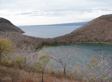 tagus cove galapagos islands